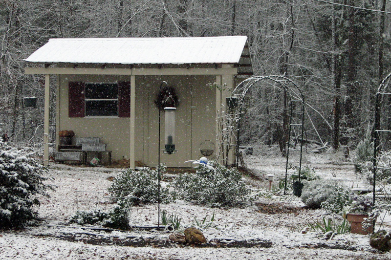 The old quail house looked charming in the snow.